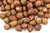 Organic Hazelnuts (500g) - Sussex WholeFoods
