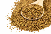 Organic Alfalfa Seeds 500g (Sussex Wholefoods)
