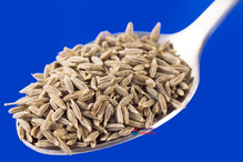 Whole Cumin Seed 100g (Hampshire Foods)