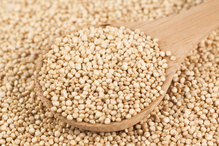 Organic Quinoa Grain 25kg (Bulk)