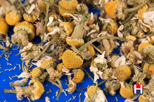 Chamomile Flowers 50g (Sussex Wholefoods)