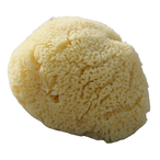 Organic Baby Sea Sponge, Large (Beaming Baby)