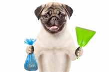Pet Litter & Waste Solutions