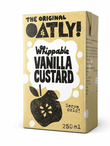 Vanilla Custard 250ml (Oatly)