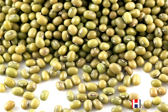 Organic Mung Beans(1kg) - Sussex Wholefoods