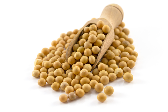 Organic Soya Beans 25kg (Bulk)
