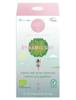 Organic Dynamic Day, 20 bags (Just T)