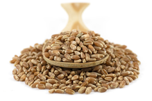 Organic Wheat Grain 2kg (Sussex Wholefoods)
