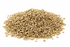 Whole Sesame Seeds, Organic 25kg (Bulk)