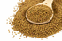 Alfalfa Seeds, Organic 25kg (Bulk)