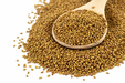 Organic Alfalfa Seeds 250g (Sussex Wholefoods)