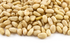 Pine Nuts [Kernels] 250g (Sussex Wholefoods)