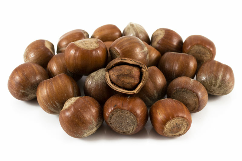 Hazelnuts in Shell 25kg (Bulk)