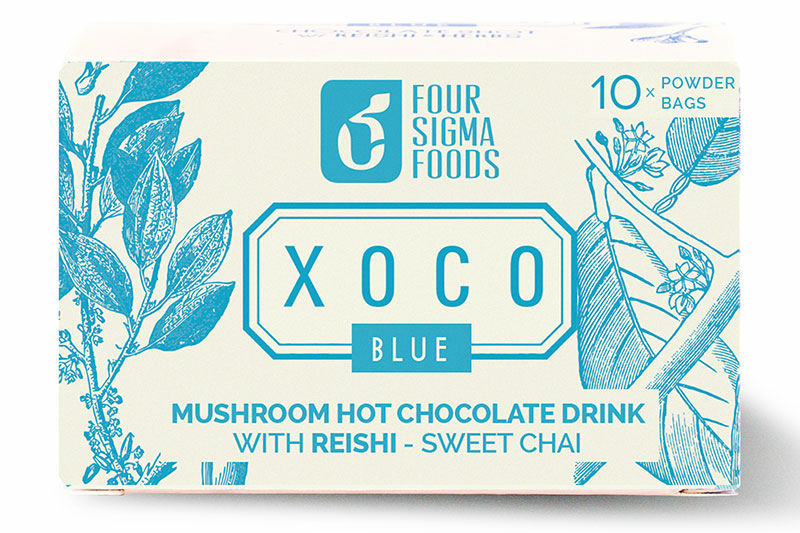 Hot Chocolate with Reishi Mushrooms - 10 Bags (Four Sigma Foods)