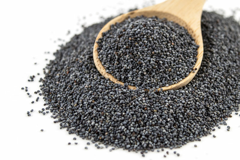 Organic Blue Poppy Seeds 25kg (Bulk)