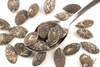 Pumpkin Seeds with Onion 150g (Sussex Wholefoods Gourmet)