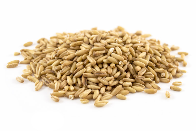 Organic Oat Groats 25kg (Bulk)