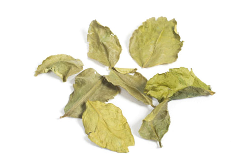 Kaffir Lime Leaves 10g (Hampshire Foods)