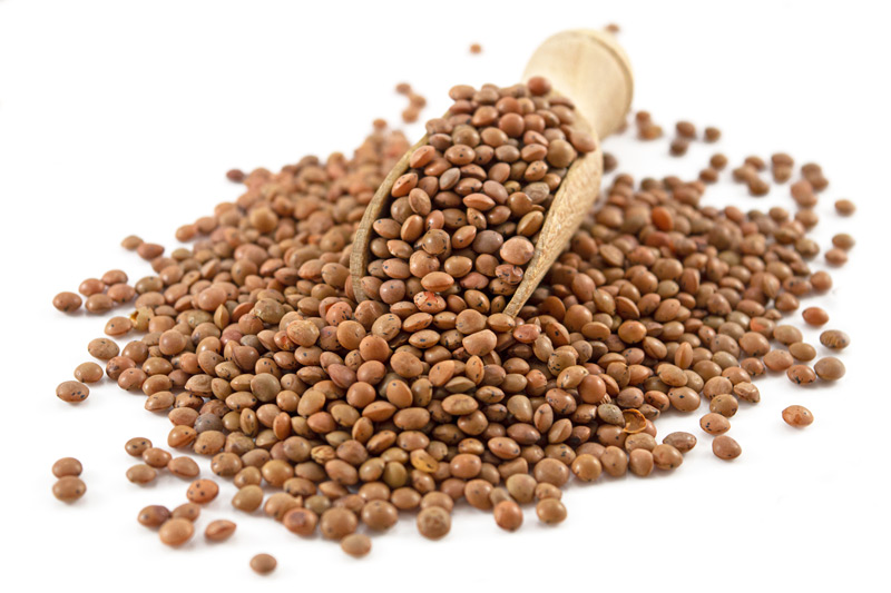 Organic Brown Lentils 500g (Sussex Wholefoods)