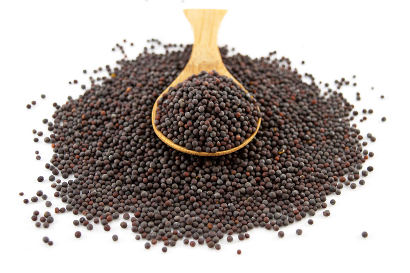 Organic Brown Mustard Seeds 100g (Sussex Wholefoods) Healthy Supplies