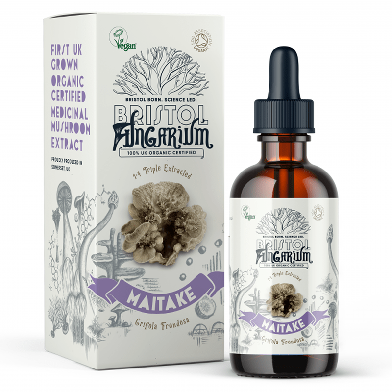 Organic Maitake Mushroom Tincture 50ml (Bristol Fungarium) Healthy