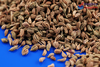 Ajwain Seeds [Similar to Lovage] 100g (TRS)
