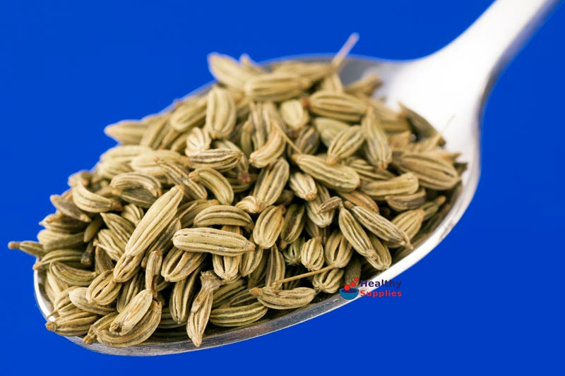 Fennel Seed 100g (Hampshire Foods)