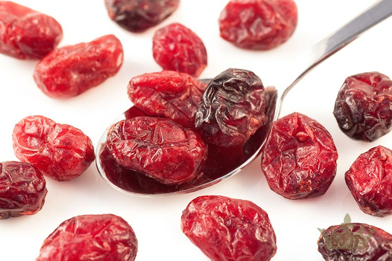 Selected Cranberries sweetened with Apple Juice, Organic 500g (Sussex