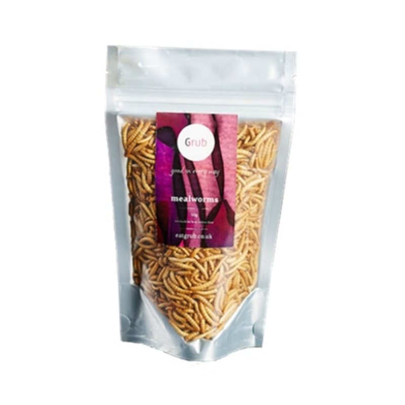 Edible Mealworms 20g (Grub) Healthy Supplies