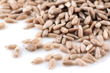 Sunflower Seeds 500g (Sussex Wholefoods)