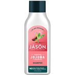 Strong & Healthy Jojoba & Castor Seed Oil Shampoo 473ml (Jason)