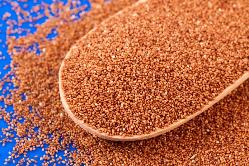 Teff Grain, Gluten Free 1kg (Healthy Supplies)