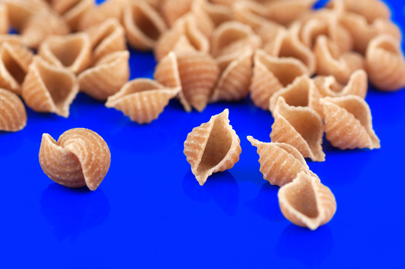 Conchiglie (Shells), Wholewheat Organic 500g (La Bio Idea)
