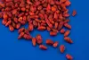 Piquin Chillies, Whole 25g (Hampshire Foods)