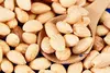 Roasted and Blanched Almonds 250g (Sussex Wholefoods)