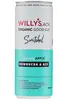 Sparkling Apple, Kombucha & ACV Drink 250ml (Willy
