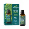 Tea Tree Oil 10ml (Australian Tea Tree)