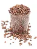 China Rose Radish, Organic 250g (Aconbury Sprouts)