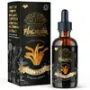 Organic Cordyceps Tincture Mushroom Tincture 50ml (Bristol Fungarium)
