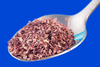 Dulse Flakes 30g (Mara Seaweed)