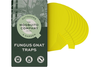 Fungus Gnat Sticky Traps x 10 traps (The Mosquito Company)
