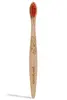 Beech Toothbrush for Kids - Soft (Georganics)