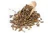Milk Thistle Seeds 500g (Sussex Wholefoods)