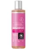 Nordic Birch Shampoo for Normal hair, Organic 250ml (Urtekram)