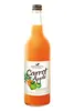 Organic Apple & Carrot Juice 750ml (James White)