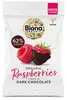 Organic Dark Chocolate Raspberries 45g (Biona)