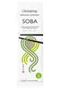 Organic Japanese Soba Noodles 200g (Clearspring)