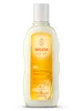 Oat Replenishing Shampoo 190ml (Weleda)