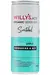 Sparkling Apple Switchel 250ml (Willy