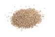 Whole Cumin Seed 100g (Hampshire Foods)